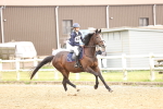 SBM_001691