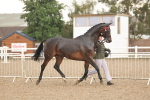 SBM_07727
