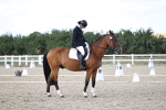 SBM_016063