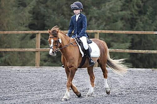 Gordon Dressage