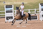 BPP_3964