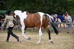 WJ6_8160