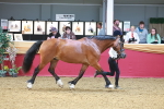 SBM_16576