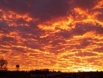 Fire in the Sky
