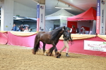 SBM_18581