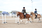 SBM_17174