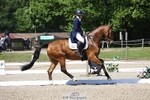 152-RENKUM_JITTERBUG-Phoebe_Locke-WEDTrotUp+DR portfolio