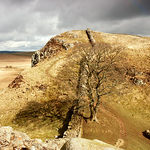 Sycamore Gap, Hadrian's Wall