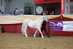 SBM_17298