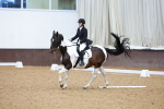 SBM_002988