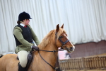 Class 35 - 60cm Training Stakes portfolio