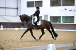 SBM_010130