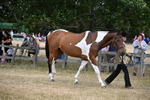 WJ6_8147