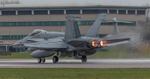 _J8A2806 copy