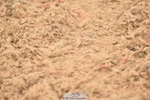 230720A-121438-02495