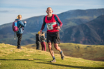Sale Fell-312