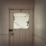 Ivy Outside Front Door