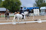 SBM_00219