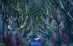 Dark Hedges, Northern Ireland.