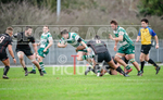 Guernsey Raiders v Rochford Hundred-41
