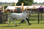 SBM_00775