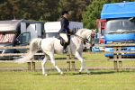 SBM_12475