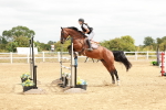 SBM_017379