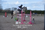 BPP_3411