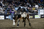 Barringer Frantz_DSC2528