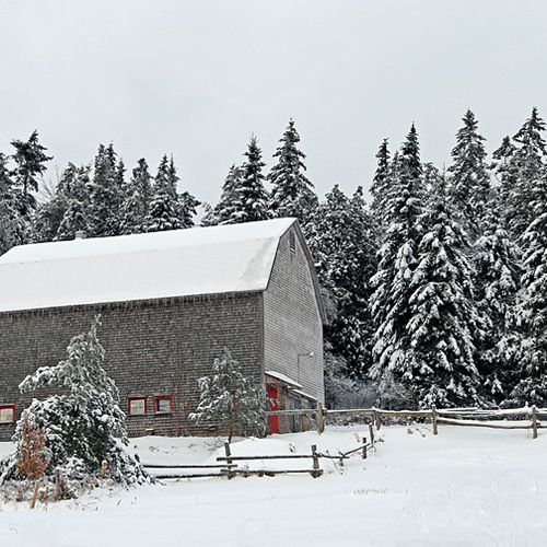 A period barn on the edge of a forest sits pretty on a cold winter's day.