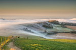 z3033 Liquid Mist, St Catherines Down