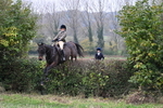 WJ7_8381