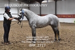 BPP_2717