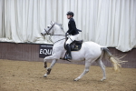 Class 2 - Equissage Pulse Senior British Novice/ 90cm Open portfolio