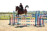 SBM_001928