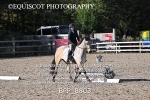 BPP_8803