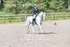 BPP_9776