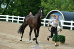 230719A-123944-00200_Trot Up 12pm to 1pm