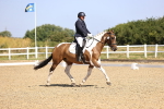 SBM_009313