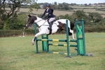 Class 3: Nankelly Open: 90cm Showjumping portfolio