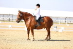 SBM_002763