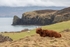 Fanad Peninsula