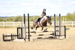 SBM_001608