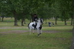 NGP_6845