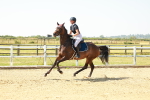 SBM_000395