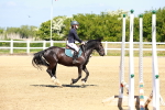 SBM_007019