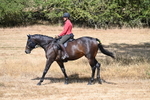 WJ7_8609