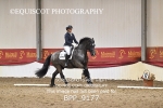 BPP_9177