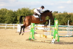 SBM_007966