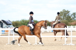 SBM_17623